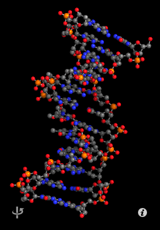 A DNA ball-and-stick model on the iPhone
